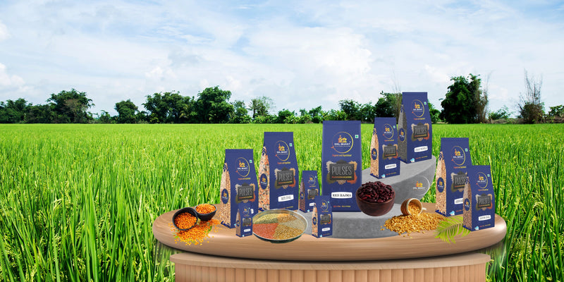 Matki / Sprouts (Organic Pulses)